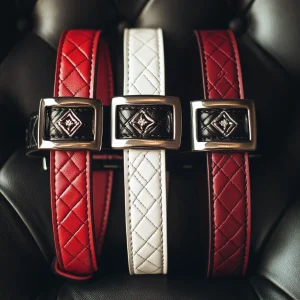 Belt:A motivating mantra that instills confidence and reinforces the idea of lifelong learning. Heritage symbols encompassing the unique aesthetics and stories behind designs that have stood the test of time. Fashion-forward belts made to suit the ever-changing generational styles.